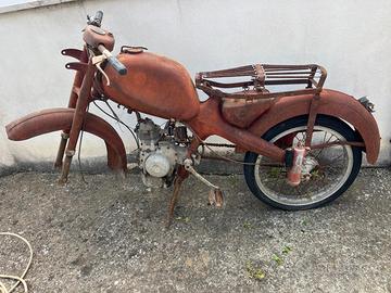Motom 48 junior sport