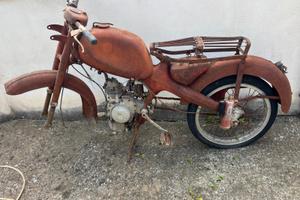 Motom 48 junior sport