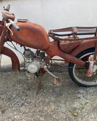 Motom 48 junior sport