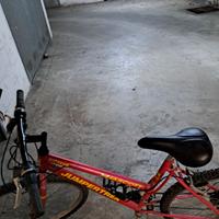 bicicletta donna