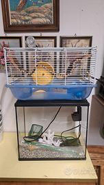 Acquario in vetro e casetta per criceti