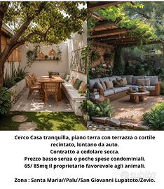 Cerccasa  da fine dicembre