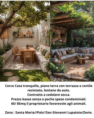 Cerccasa  da fine dicembre