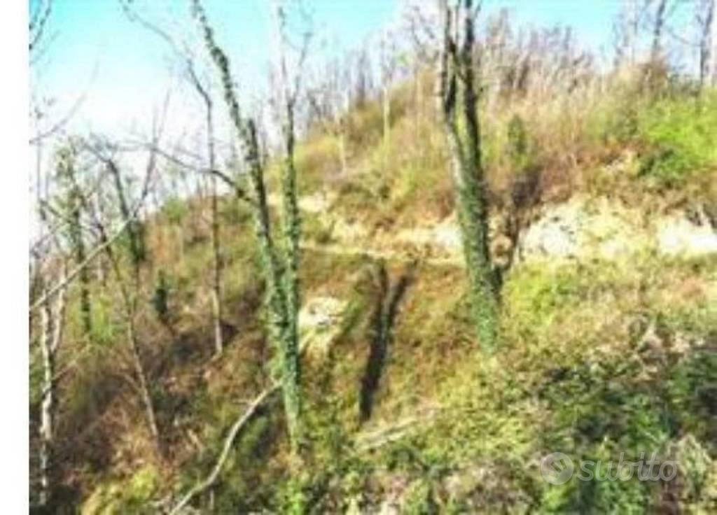 Immobile in asta di 258860 m² a Attimis - Vista 2