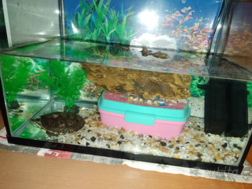 Acquario 15 lt