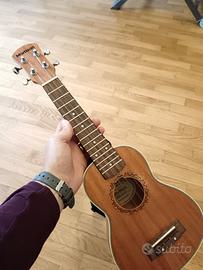Ukulele Martisan+custodia 