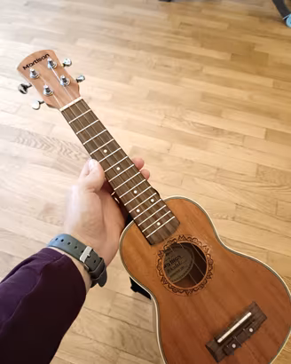 Ukulele Martisan+custodia 