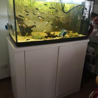 Acquario 200lt con mobile