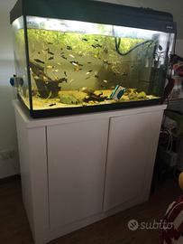 Acquario 200lt con mobile