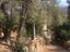 Immagine 6