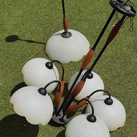 Coppia di lampadari