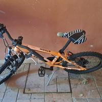bicicletta per bambino mtb