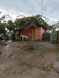 Terreno agricolo
