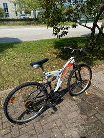 Bicicletta topbike