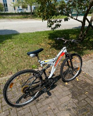 Bicicletta topbike