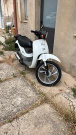 Honda Sky bianco