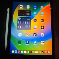 iPad 9° Generazione 