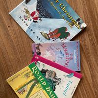 Set 4 libricini in inglese