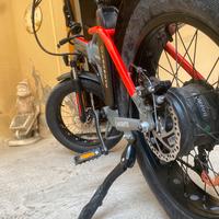 Bici elettrica argento minimax prezzo trattabile