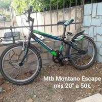 Bici varie misure e prezzi