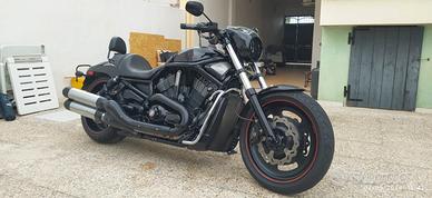 harley davidson nighg rod special