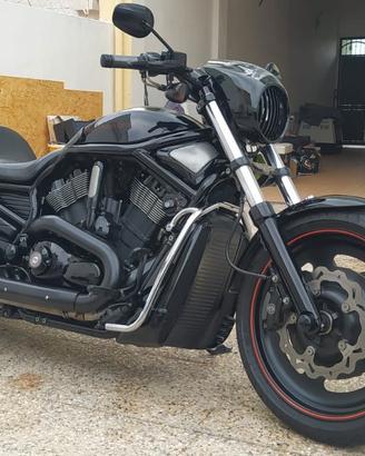 harley davidson nighg rod special