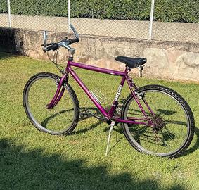 MOUNTAIN BIKE