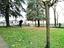 Immagine 14