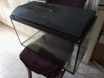 Acquario Genius 60
