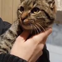 Paco maschietto dolcissimo