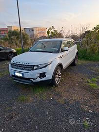 Evoque incidentata