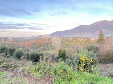 TER. AGRICOLO A PALOMBARA SABINA