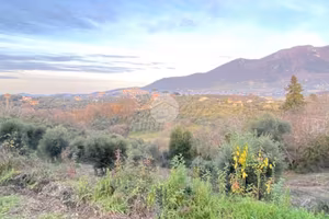 TER. AGRICOLO A PALOMBARA SABINA