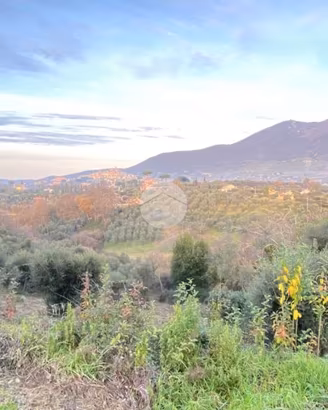 TER. AGRICOLO A PALOMBARA SABINA