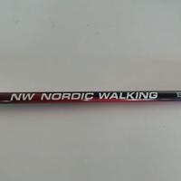 Bastoncini in carbonio