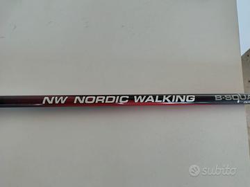 Bastoncini in carbonio