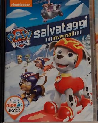 DVD Paw Patrol italiano inglese e altro
