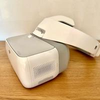 DJI Goggles