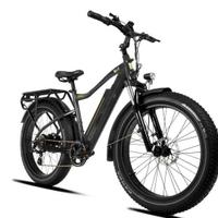 nief colosseo fat bike elettrica  Modello COLOSSEO