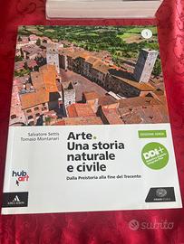 Arte una storia naturale e civile edizione verde