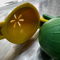 BAR- Squeezer (The Bars)