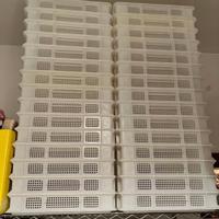 Cassette forate porta pane