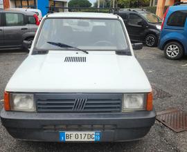 Fiat Panda 900 i.e. cat Young