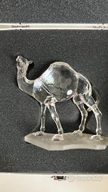 Cammello Swarovski Cristallo