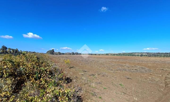 TER. AGRICOLO A PORTO CESAREO