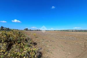 TER. AGRICOLO A PORTO CESAREO
