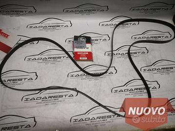 Cinghia Servizi Ford Ranger 2.2 TDCI 1720651