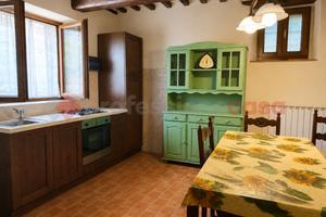 Terratetto Gallicano [UM252GBARG]