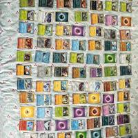 123 carte Pokemon + porta carte