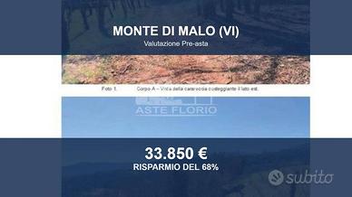 Immobile in asta di 29963 m² a Monte di Malo